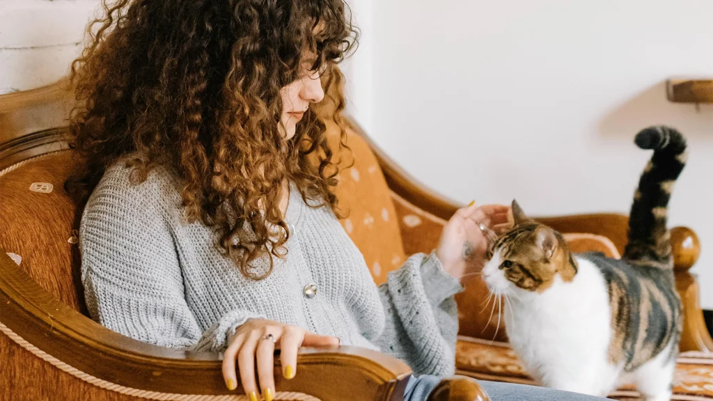 Cattery vs pet sitter: cat sitter petting cat